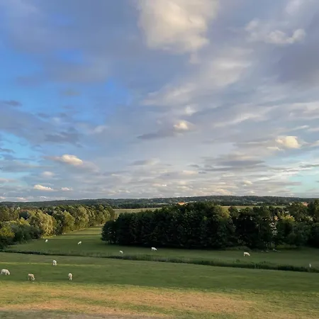 Sonnengelb - Fulgenhaus