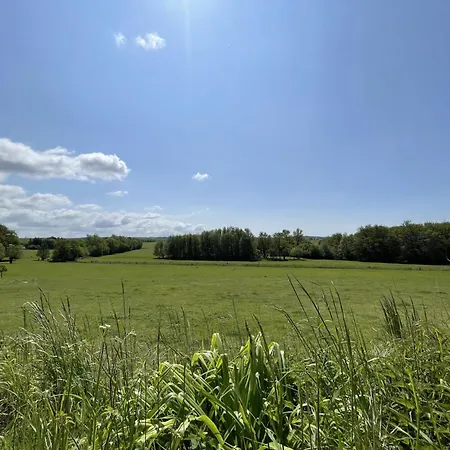 Apartamento Sonnengelb - Fulgenhaus Klein Bollhagen