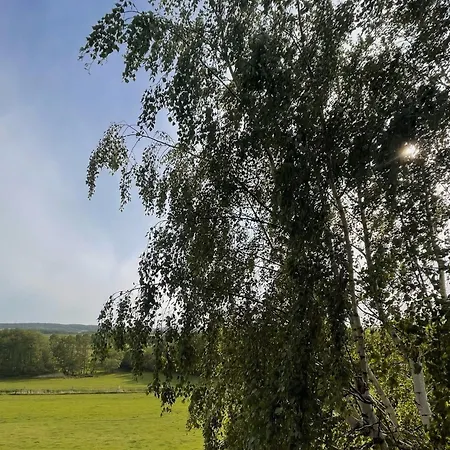 Sonnengelb - Fulgenhaus