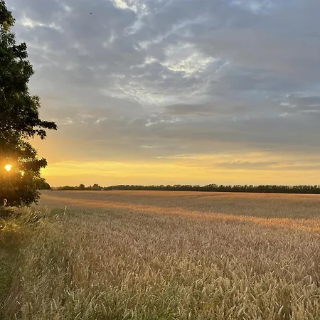 Apartamento Sonnengelb - Fulgenhaus Klein Bollhagen