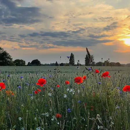Apartamento Sonnengelb - Fulgenhaus *