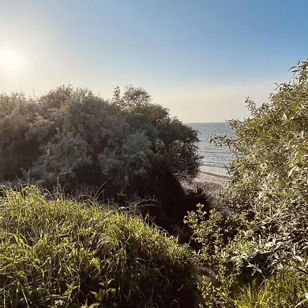 Sonnengelb - Fulgenhaus