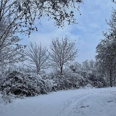 Sonnengelb - Fulgenhaus Apartamento