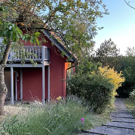 Sonnengelb - Fulgenhaus * Klein Bollhagen